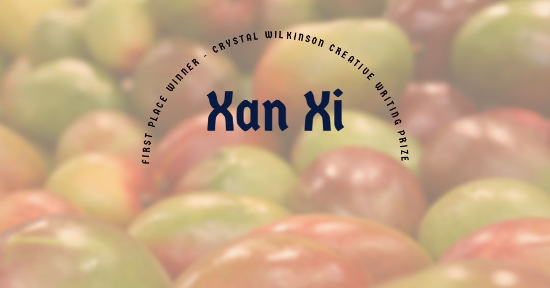 FIRST PLACE – XAN XI